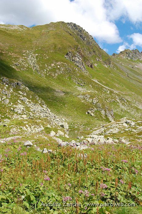 27 In discesa nella verdeggiante valle.JPG